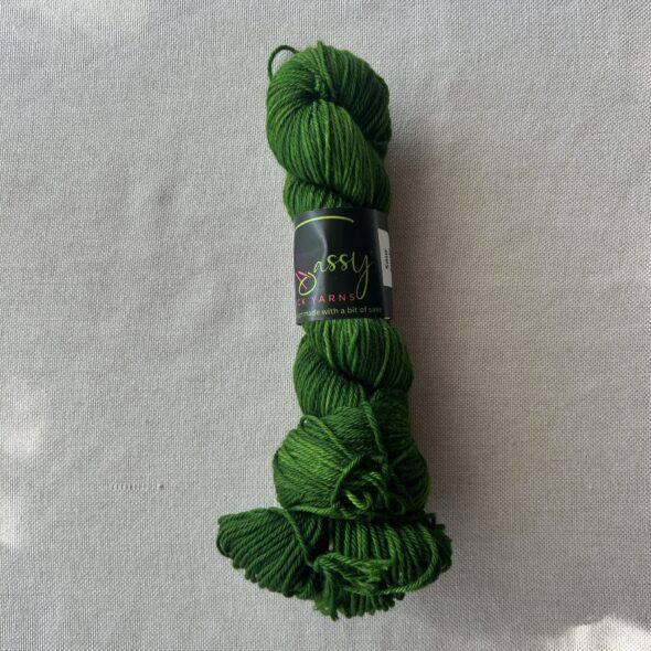 Sassy Black Yarns Sour Apple Superwash DK Yarn