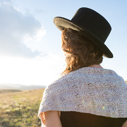 Alpine Aster Shawlette